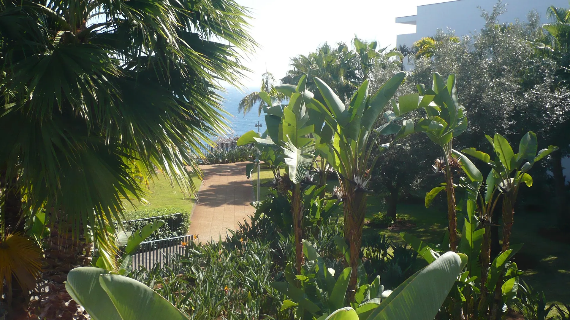 פונשל Vidamar Resort Hotel Madeira